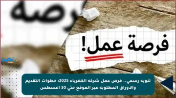 تنويه رسمي.. فرص عمل شركة الكهرباء 2025: خطوات التقديم والأوراق المطلوبة عبر الموقع حتى 30 أغسطس